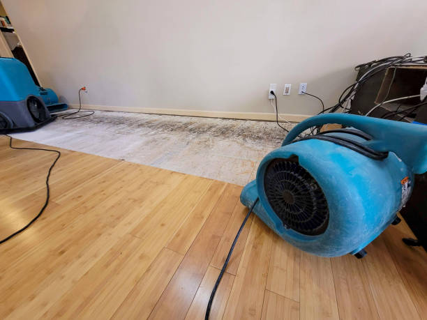 Professional Flood Damage Cleanup technician working in Metamora, IL